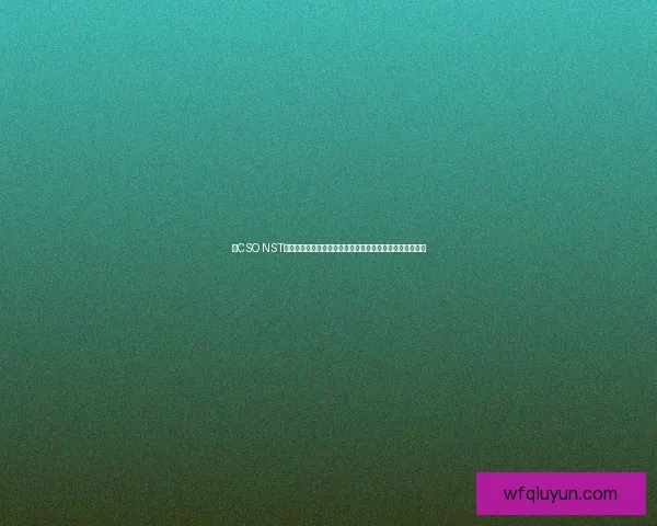 以CSO NST为核心构建数字化安全防护体系提升企业信息安全管理水平 以CSO NST为核心构建数字化安全防护体系提升企业信息安全管理水平